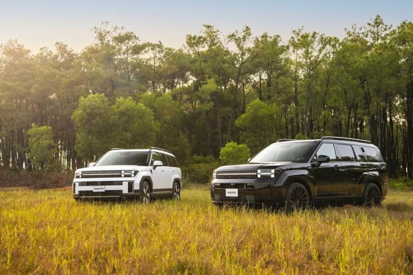 Phân khúc SUV hạng D tháng 5/2026: Tất cả cùng tăng, Ford Everest vẫn giữ ngôi vương 851998