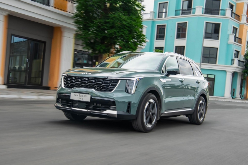 Phân khúc SUV hạng D tháng 5/2026: Tất cả cùng tăng, Ford Everest vẫn giữ ngôi vương 852000